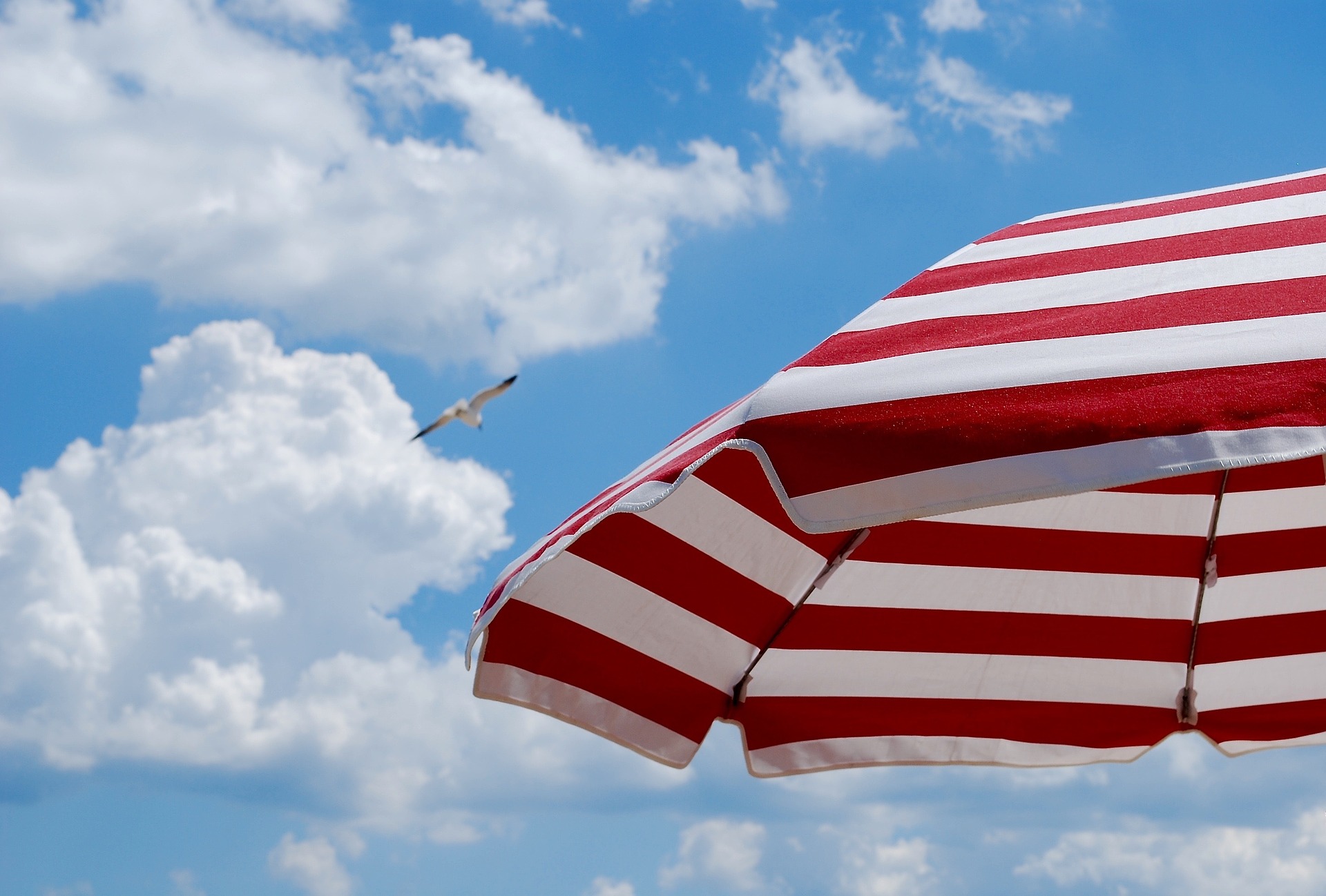 Beach Travel Striped umbrella under sunny sky unforgettable trips