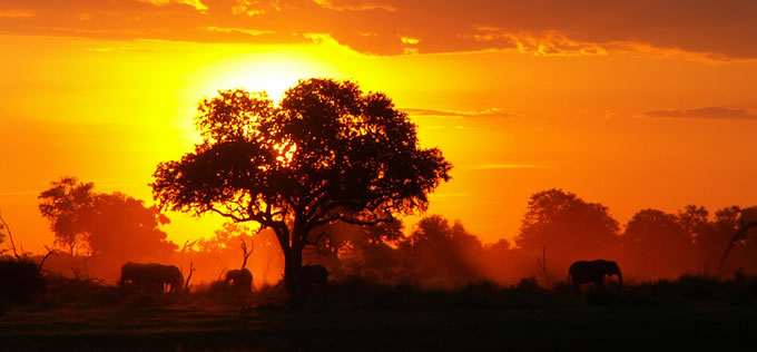 unforgettable trips Africa & Middle East: Elephants seen on Safari