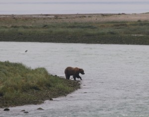 alaska-oosterdam-AL2b4694343 orig